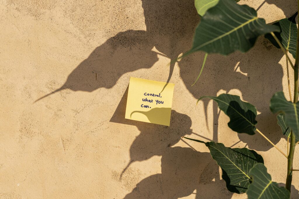 A motivational note on a wall surrounded by plant shadows in Dubai's sunlight.